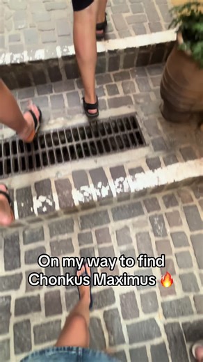 Discovering Chonkus Maximus in Crete