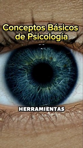 Descubre los Procesos Cognitivos y su Impacto