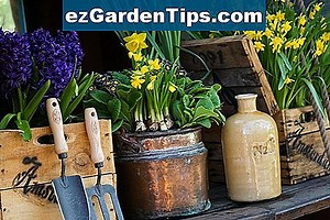 Fertilizante Live Oak Tree 🌱 Tips Jardineros - Es.ezGardenTips.com