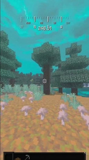 😱THE BEST WAY TO FIND A BASE ON MEGA SMP!‼️