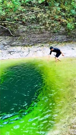 How To Find a Hidden Emerald Waterfall Pool 💚🌿 #shorts #nature