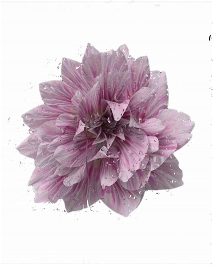 DEJA VU - Beyoncé Lyrics Video