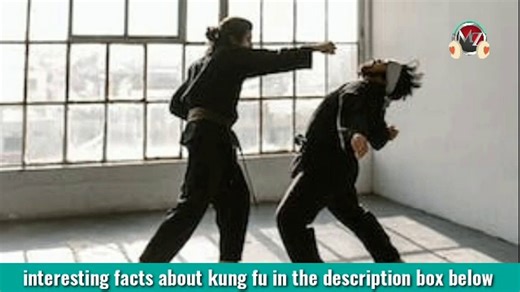 cinematic fighting sound effect pack