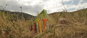 Which Tent Stakes Are Best? We'll Help You Find Out | Sierra Blog