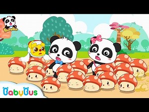 Where Do Mushroom Fairies Take Baby Panda to? | Math Kingdom Adventure | BabyBus - Videos For Kids
