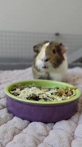 28K views · 2.3K reactions | Hi everyone! Have you ever wondered if...