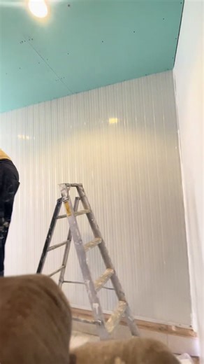 فيديوهات أنشأها assa (@assa3204) باستخدام الصوت الأصلي - user55632003216