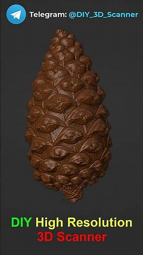 Pine Fruit 3D Scan!
