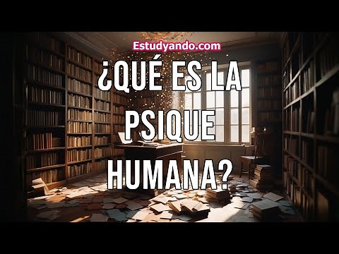 What is the Human Psyche?