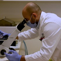 Video: Isolation and Functional Assessment of Human Breast Cancer Stem Cells from Cell and Tissue Samples