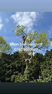 Khan tree removal Birmingham 07405655677 | Khan Tree Surgeon