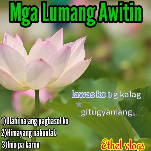 Visayan songs with lyrics #everyone #followers #highlights | Ethel vlogs