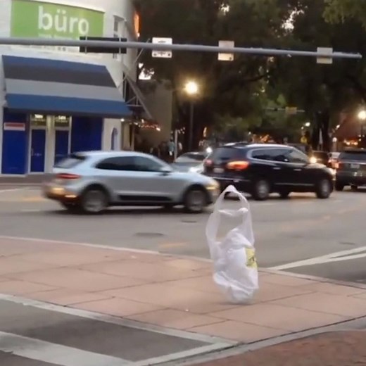 Watch out for crossing bags... Can you explain this? 😱 | VT