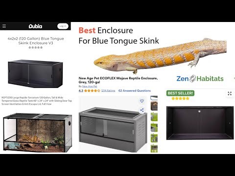 Reptile Enclosures: Pros & Cons of Glass vs. Plastic Habitats