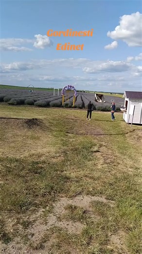 Descubre Edinet: Un lugar único en Moldova