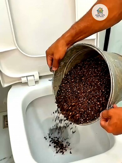 Eliminate Odors Naturally with Cloves: Home & Bathroom Hacks
