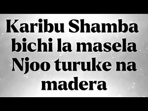 Shamba Lyrics Video _-Kaa LA Moto ft Double gang Makamanda 254