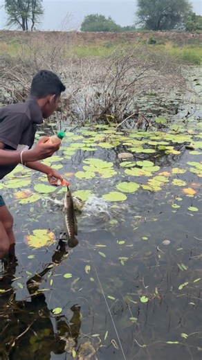 225K views · 3.2K reactions | IK Fishing &Farming on Reels | Facebook