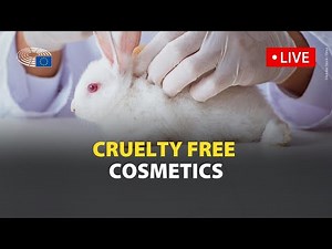 How can the EU keep its promise and ban cosmetics tests on animals?