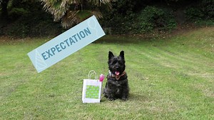 When your pet is adamant he doesn’t want to leave the party. In fact, he’s going to sit and ignore you in protest. But then...you get out the treats… | Fetch | Facebook