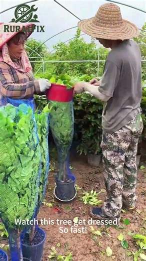 This Sapling Wrapper Gadget is Pure Magic! ✨ Why is this so satisfying?! #oddlysatisfying #nursery