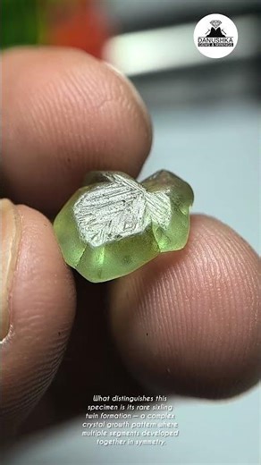 Natural Alexandrite Sixling Chrysoberyl Crystal