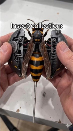 part.1 Which one would you take home ? #transformer #mechanics #miniatures #collection #insect