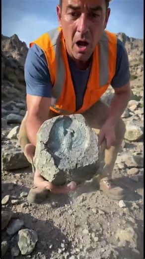 Hidden Object Inside Stone - Insane Reveal #shock