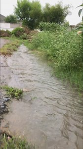 6.3K views · 146 reactions | Da baran na pas Musam❤️鹿 | Shaan Faisal Vlogs | Facebook