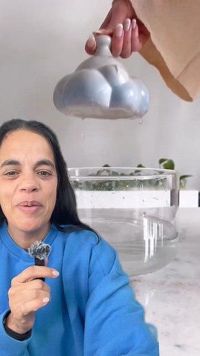 regadera 🚿 para plantas! 🌱 #regadera #agua #regado #plantas #invento | seguime.ahora