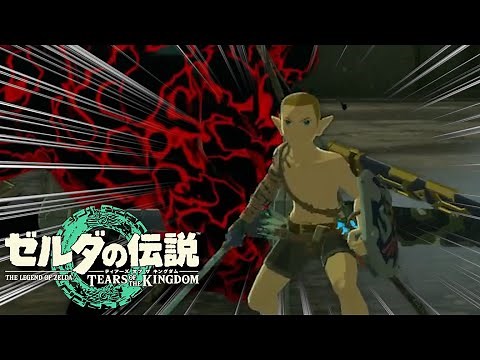最強ハゲリンクが闘技場を殲滅するようです【ゼルダの伝説 ティアーズ オブ ザ キングダム】