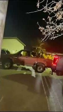 Las Vegas Aliens In Backyard | 2023