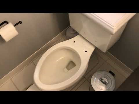 How to remove toilet seat - FAST & EASY!