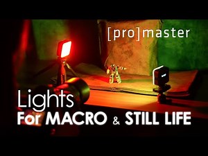 Lights for MACRO and STILL LIFE Photography