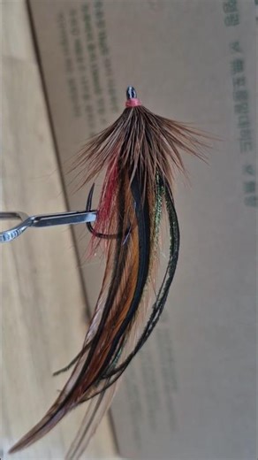 warm water platte river special #flytying #shorts #flyfishing