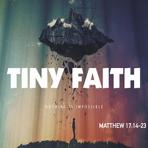 Tiny Faith (Matthew 17:14-23) — saralandchristians.com