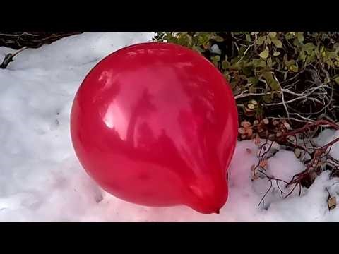 Playing with Bright Red 18 Inch Balloons in the Snow, NonPop, 4K, Forest Balloon Play Non-Pop 34