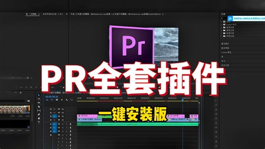 【PR插件合集】白嫖！2025全网最全PR插件合集！16000 一键安装！预设，效果，转场，卡点，字幕。您想要的都有，你确定还不用？