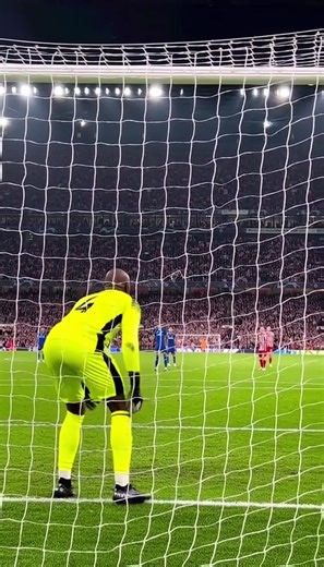 Exploring Trippy Football Experiences for Fans