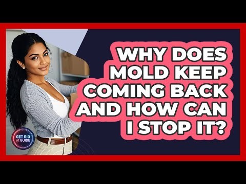 Why Does Mold Keep Coming Back And How Can I Stop It? - Get Rid Of Guide