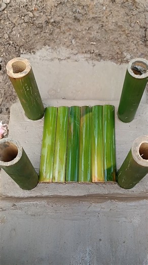 Building a Bamboo River Shelter Before Dark 🌄 #diy #shorts