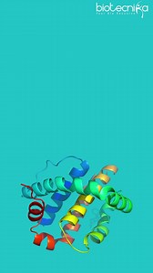 3 Key Protein Structure Differences—Super Simple! #proteinstructure #protein | Biotecnika | Facebook