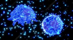 Cytokine storm, animation - Stock Video Clip - K009/7748