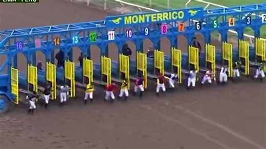Incredible jockey running race 'like a Monty Python skit' goes viral