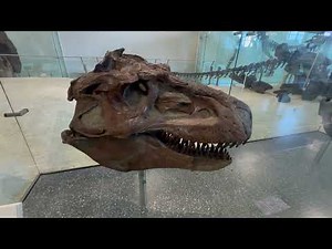 Discover the Dinosaurs at the American Museum of Natural History 🦖 | NYC Adventure