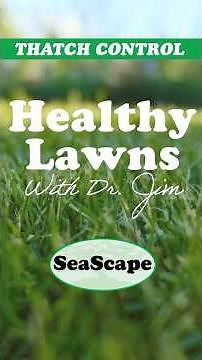 How to Control Thatch in Your Lawn | Dethatching vs. Core Aeration Explained