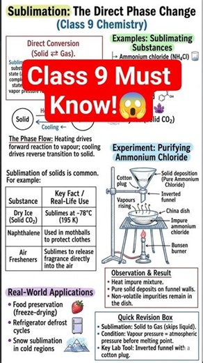 Sublimation Explained in 30 Seconds 😱 | Class 9 Chemistry #chemistry #shorts