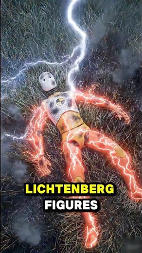 What Happens When Lightning Hits You...