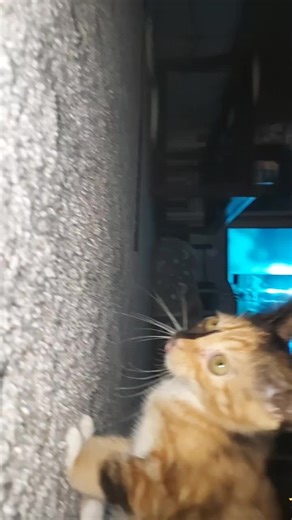 my little baby Oliva 😁😁