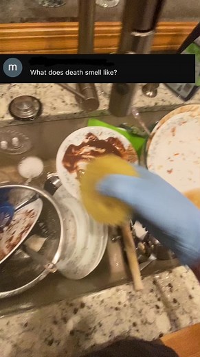 Exploring the Smell of Death: Understanding Decomposition